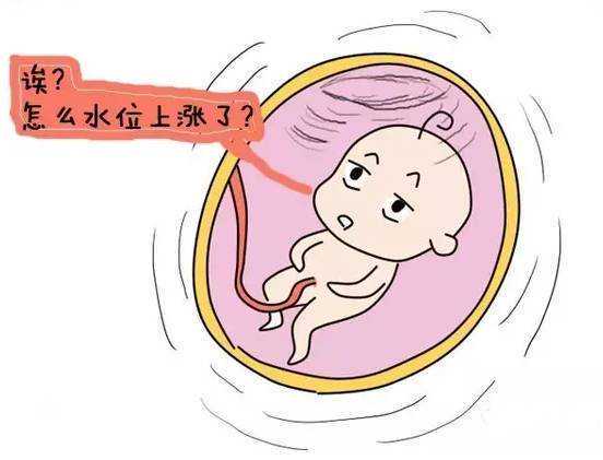 权威解读三代试管婴儿费用及医院选择指南